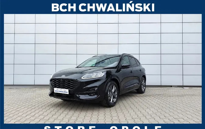 samochody osobowe Ford Kuga cena 150600 przebieg: 10, rok produkcji 2024 z Opole